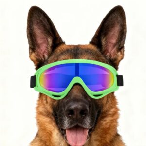 Gafas Pro