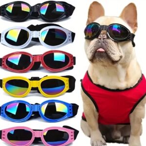 Gafas Plegables Multicolor
