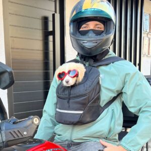 Iglú talla S