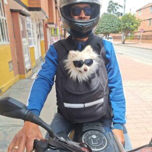 Iglú talla M