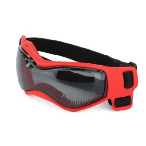 Gafas Pro Mini
