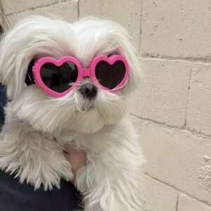 Gafas corazón minis
